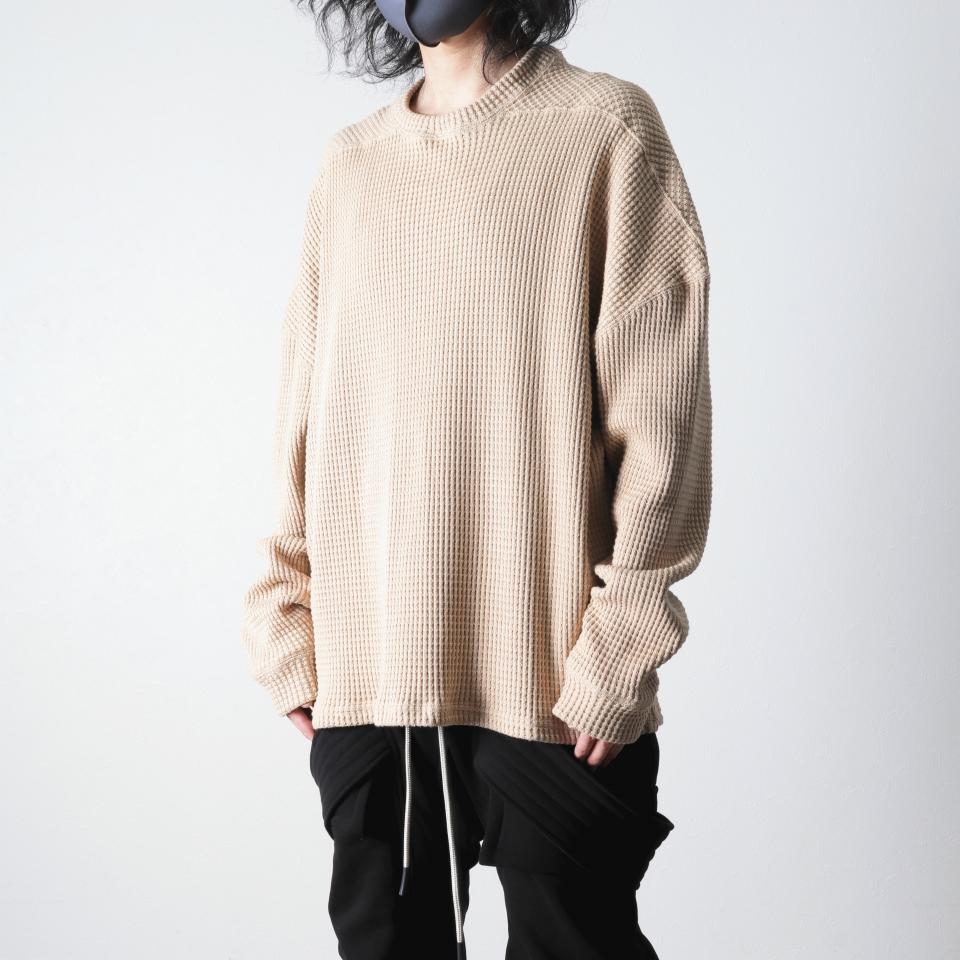 11302229.jpg