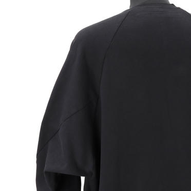 CO FIBRILED INLAY SWEATER　BLACK No.10