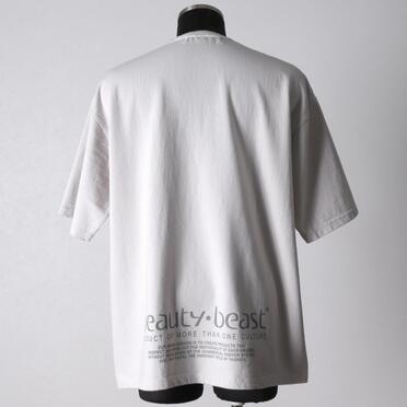 MoonlightSurfer S/S TEE　FROST GRAY No.5